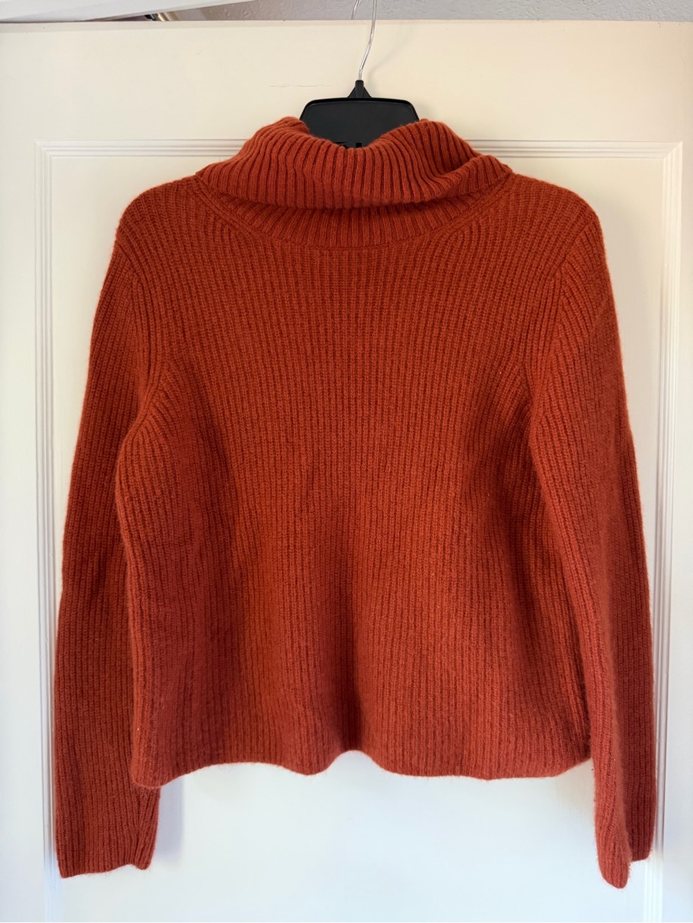 Banana Republic Cozy Ribbed Turtleneck Sweater in pumpkin spice